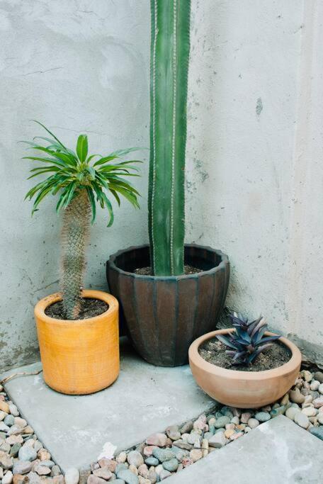 Charming 3Br Oasis, 5 Min Fr Usa - Ac In Every Rm Ciudad Juárez Buitenkant foto